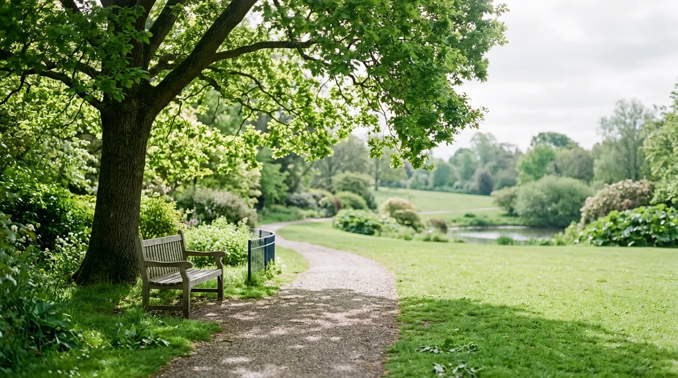 Parc public calme en lumière douce, banc en bois sous un arbre, sans personne